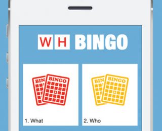 Answer “wh” Questions and Play Bingo with Bluebee Pal