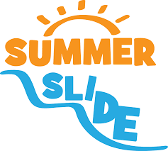 Avoiding Summer Slide with Bluebee Pals