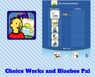 Choice Works App with Bluebee Pal