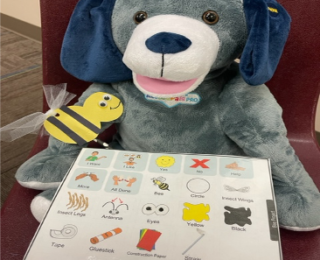 Bluebee Pals and Creative AAC Communication